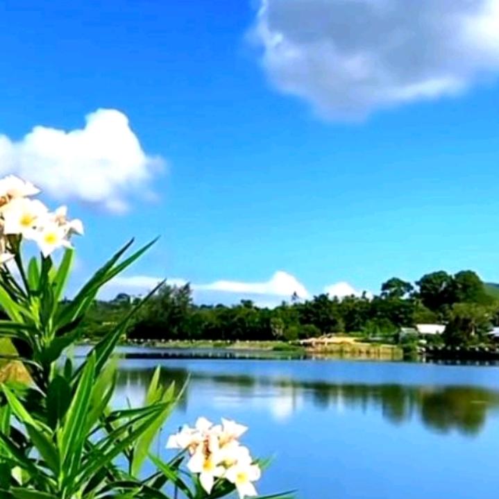 开心快乐每一天