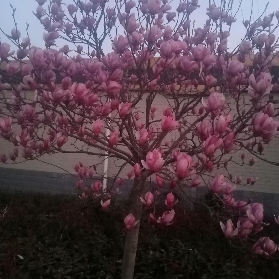 漂泊