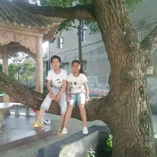 🌸温🌺柔🌼似🌹水🌻