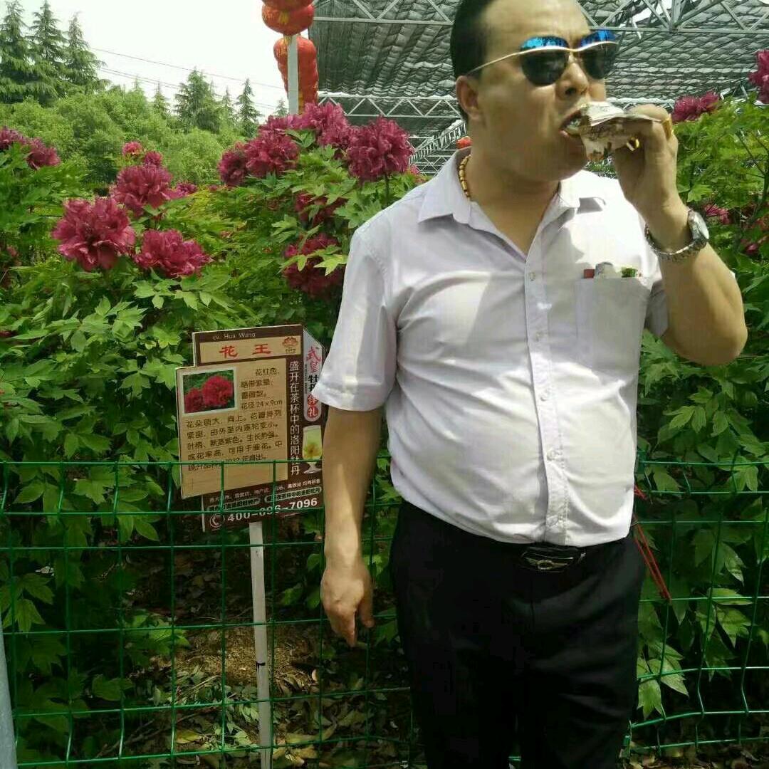 钻石王