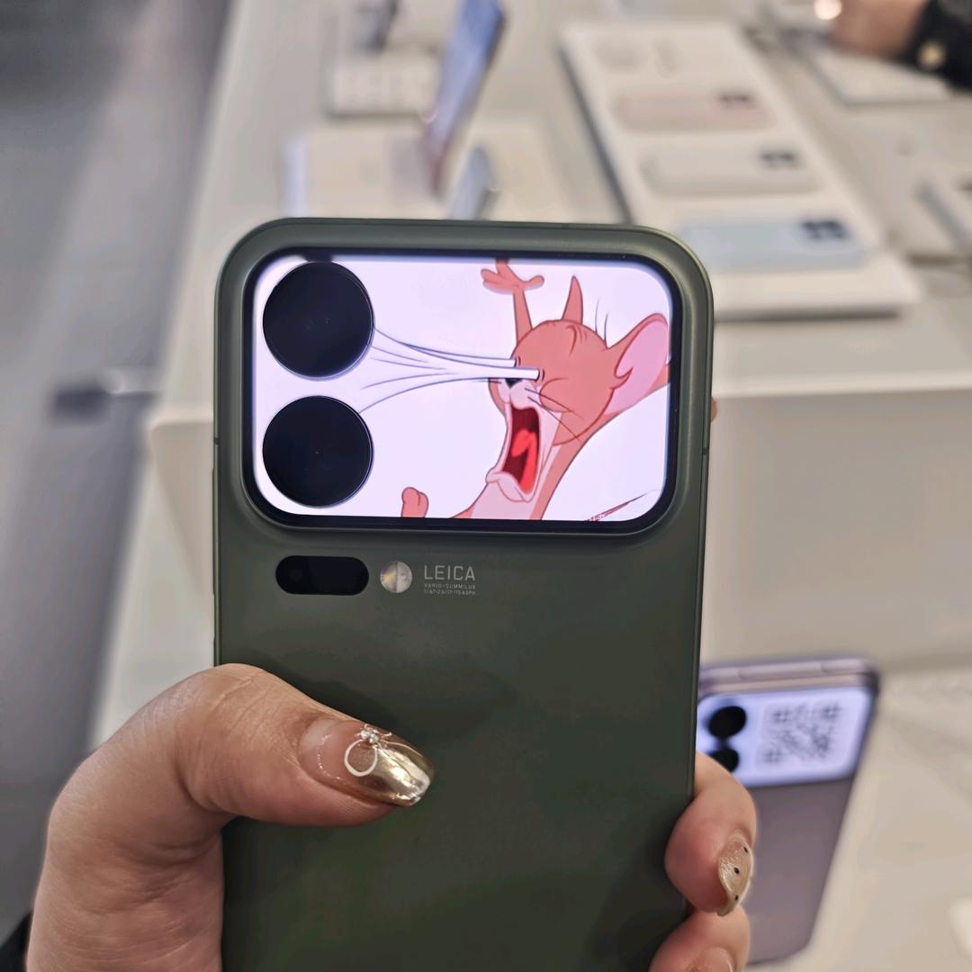 大欣城小米精分日常