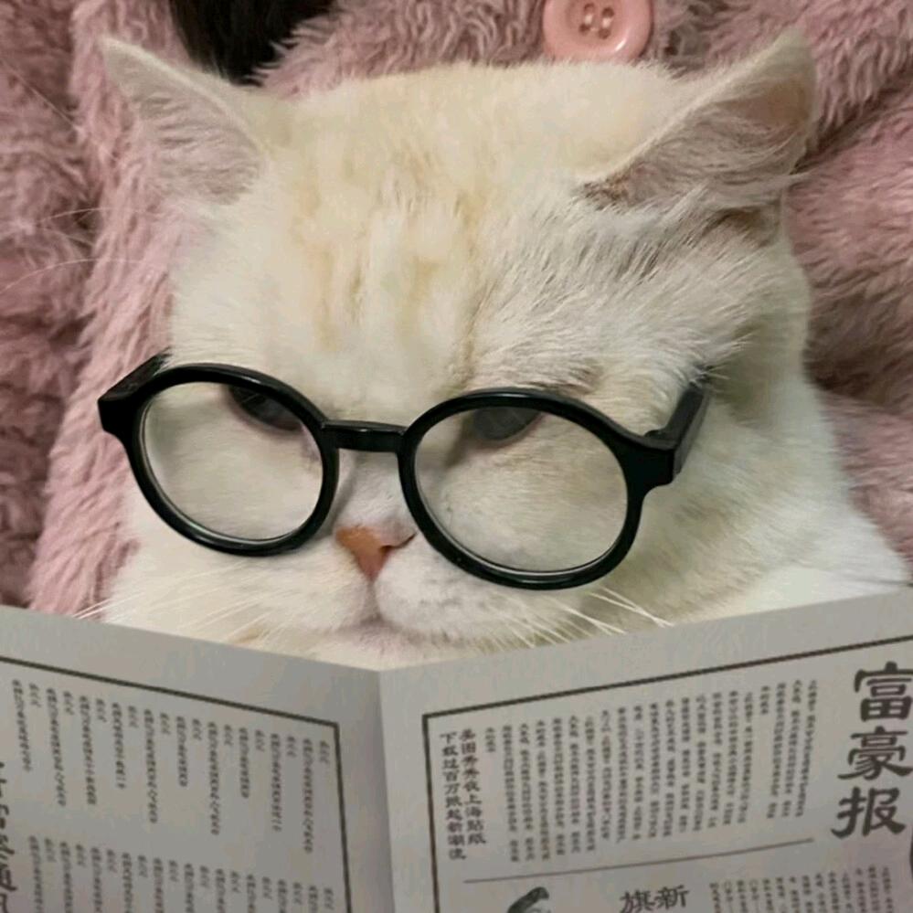 学富五车的猫猫君