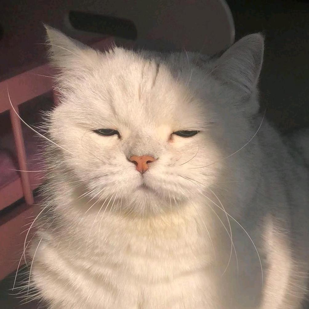 夜夜耶