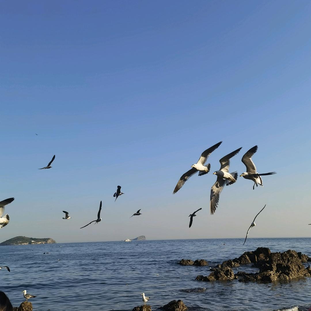 梓曦