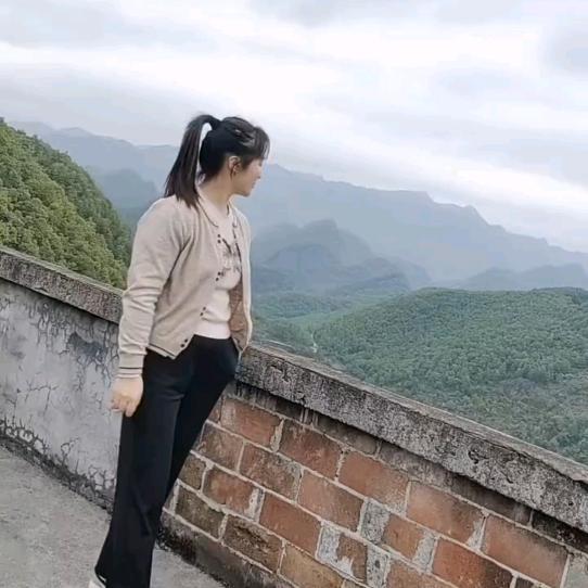 心如柠檬自然酸