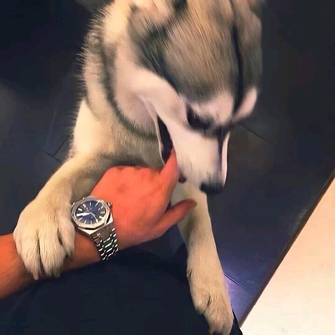 别说再见1