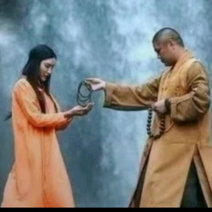 🌿感恩遇见你🌱