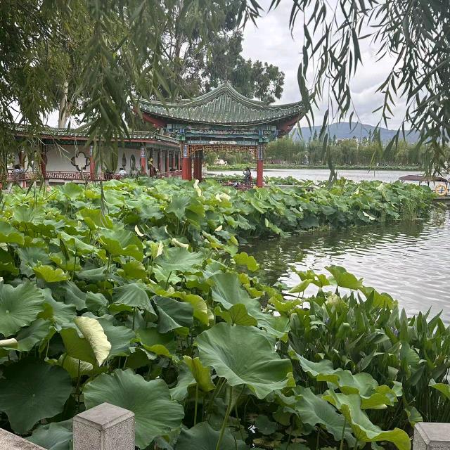 人生路上风雨多
