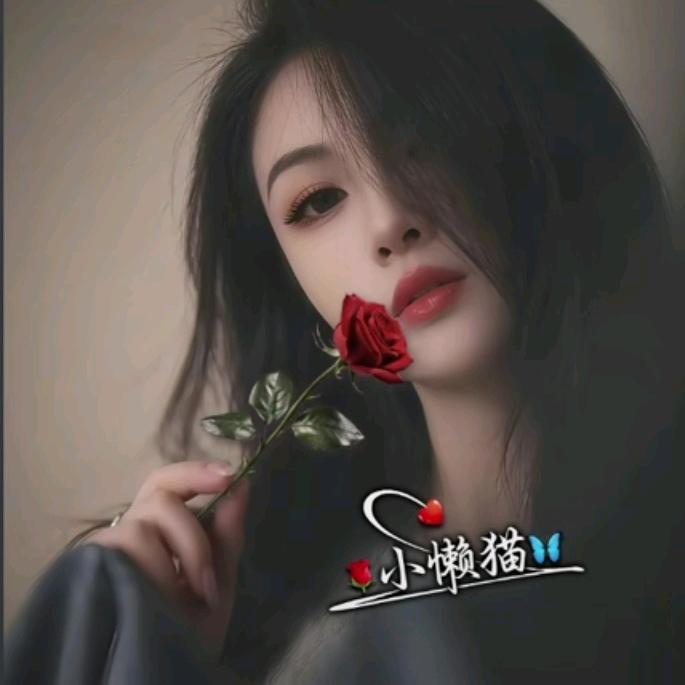 ゞ小懒猫℡