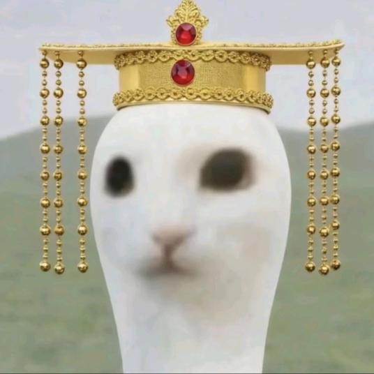 十一颗丸