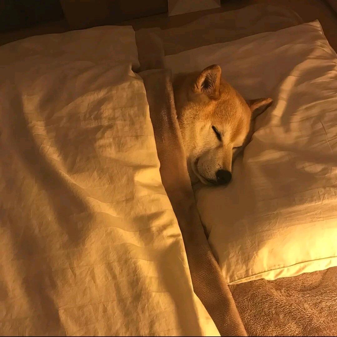 殇魂c