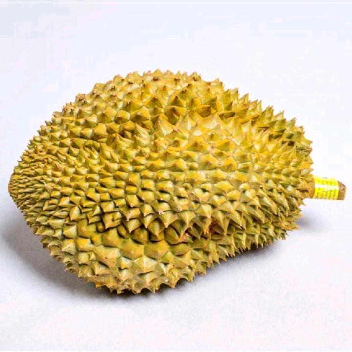 别说