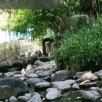 寒冬