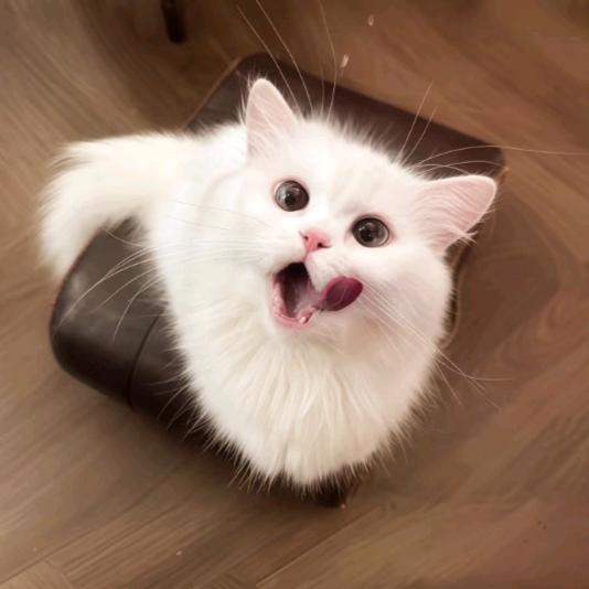 你不要和我说话