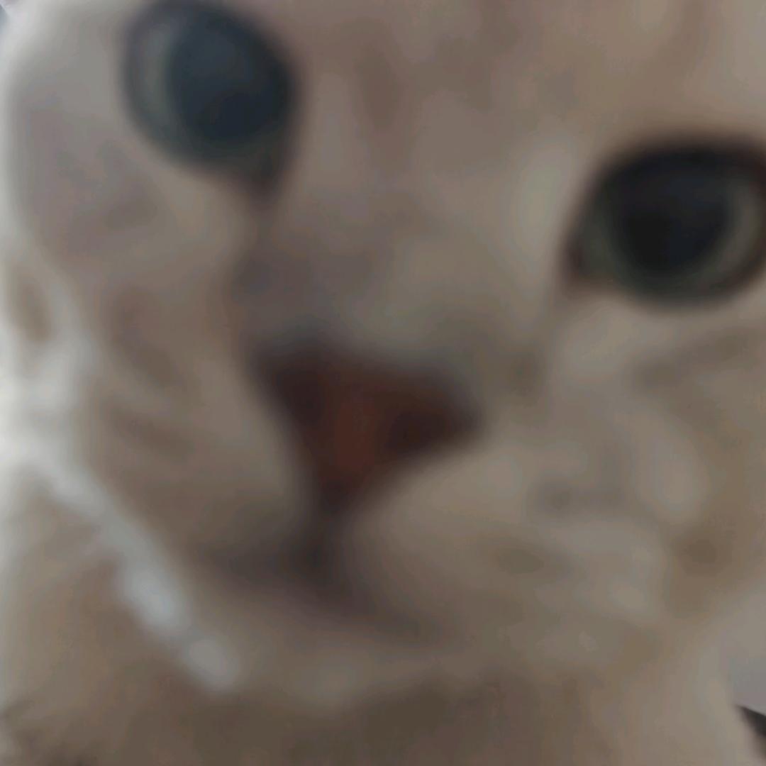 义乌第一网红正能量