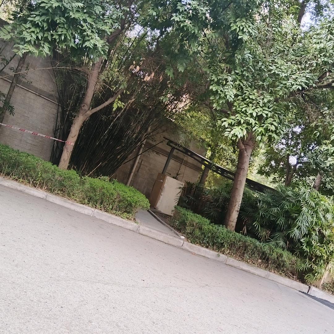 qetyiop头像