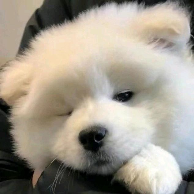 温霜降