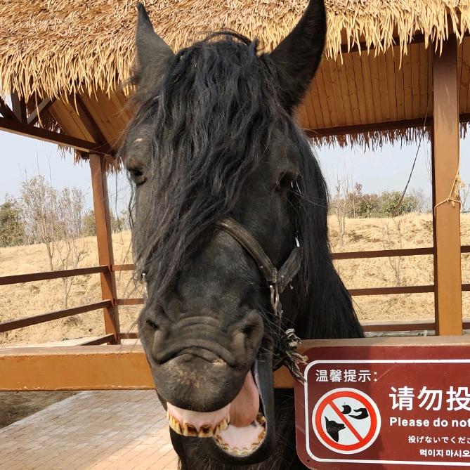 马渴剥骡
