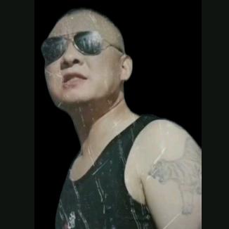 杨门虎将