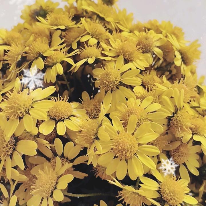 爱恨随意