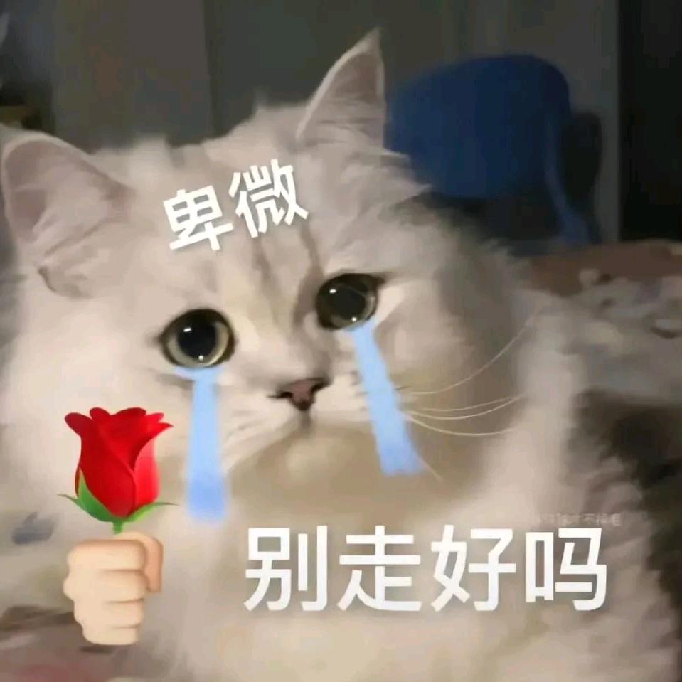 魔女lov💔