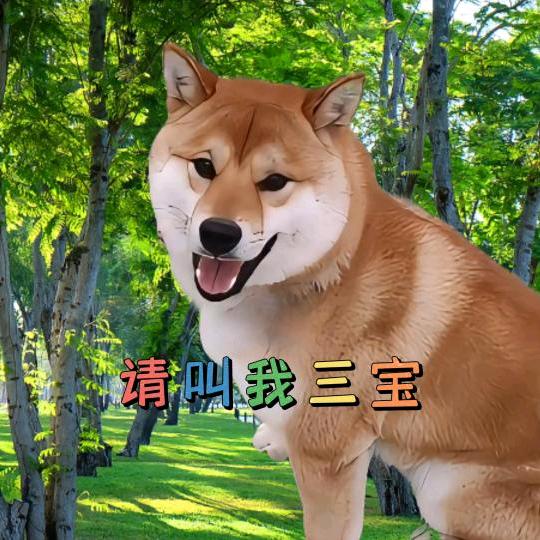 三 宝