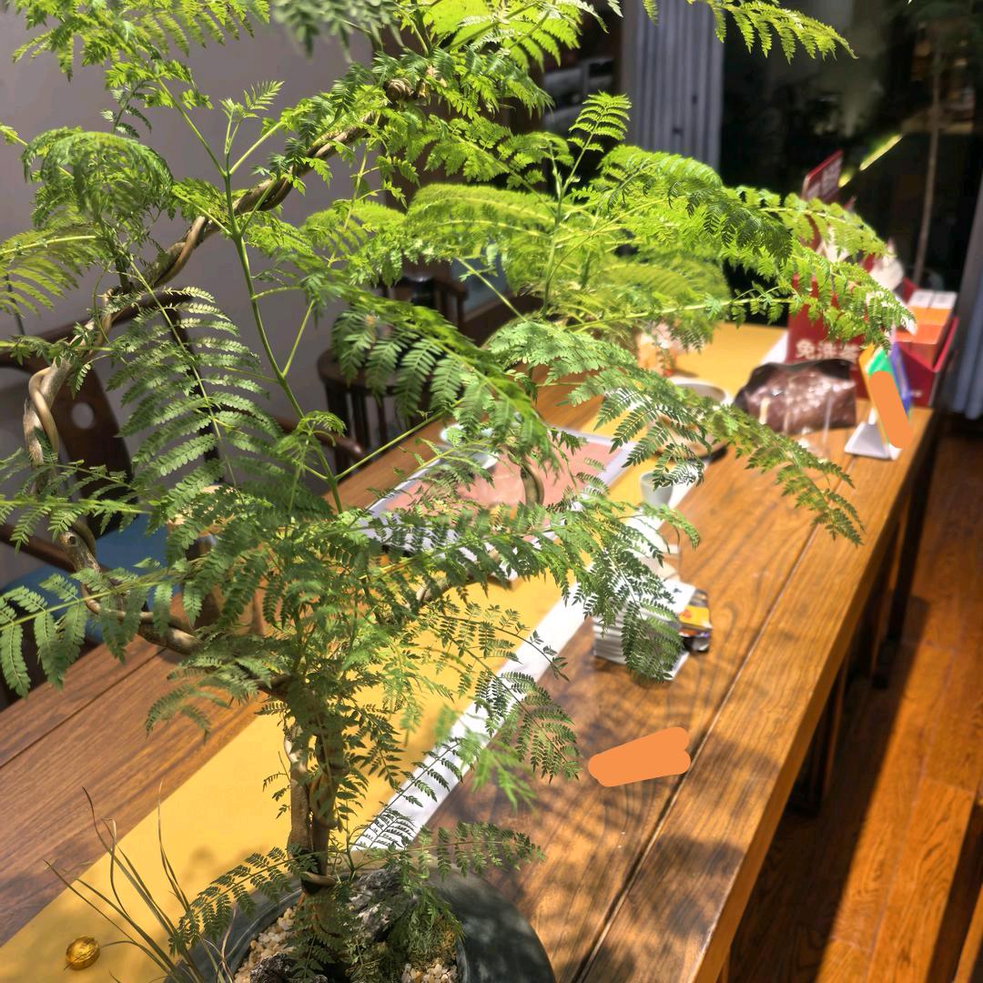 隐茶·茶室