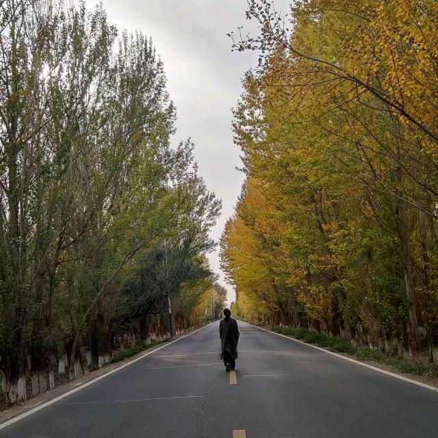 安稳度余生i🍋