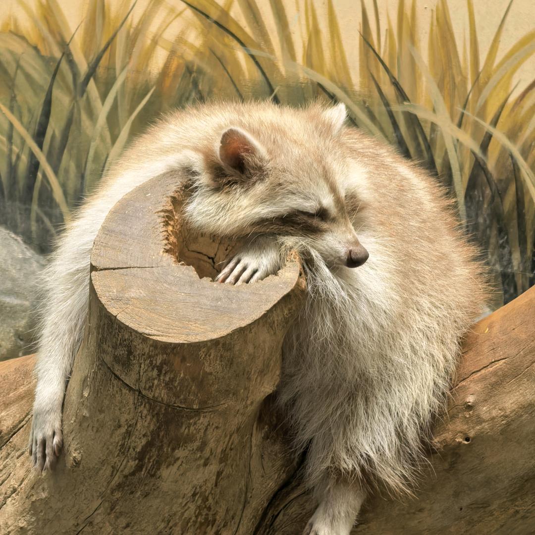 共创辉煌¥¥¥$$$