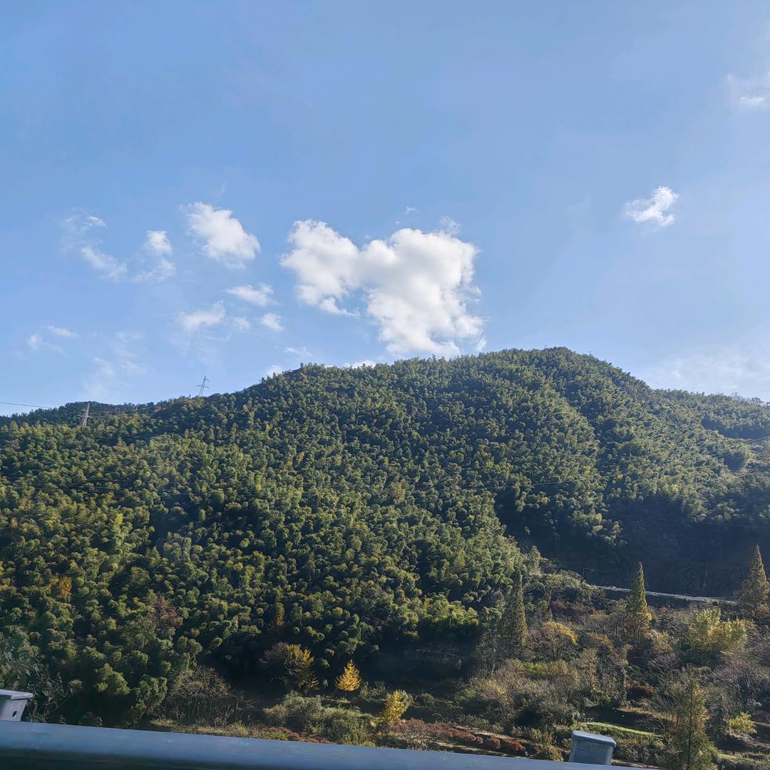 爱爱小地雷