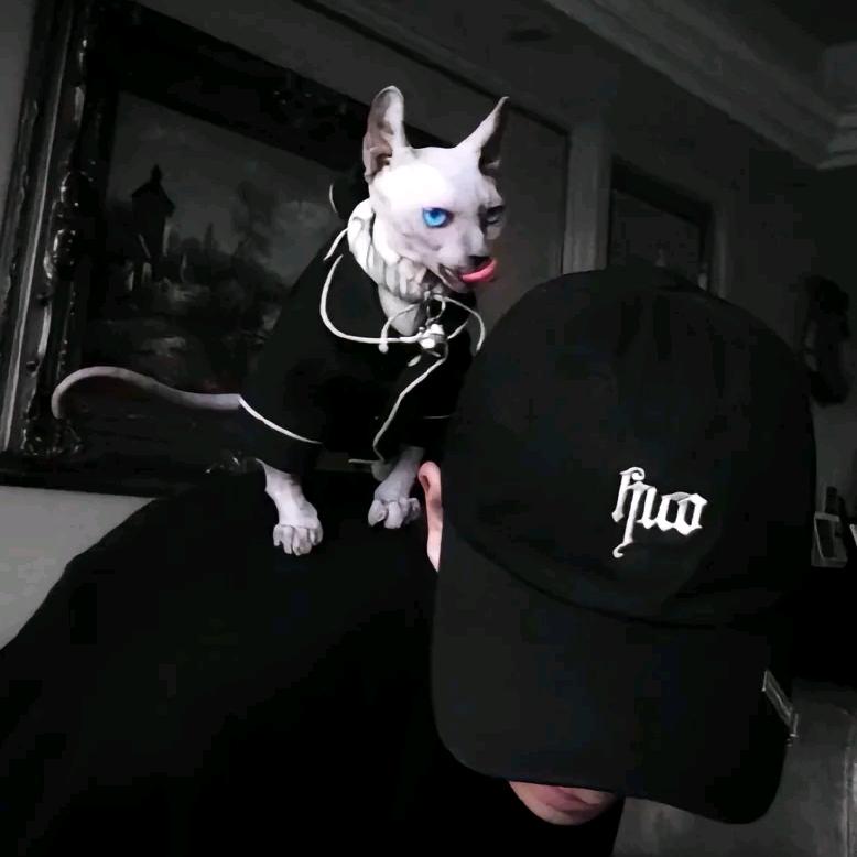 𝓑𝓮𝓼𝓽𝓸𝔀