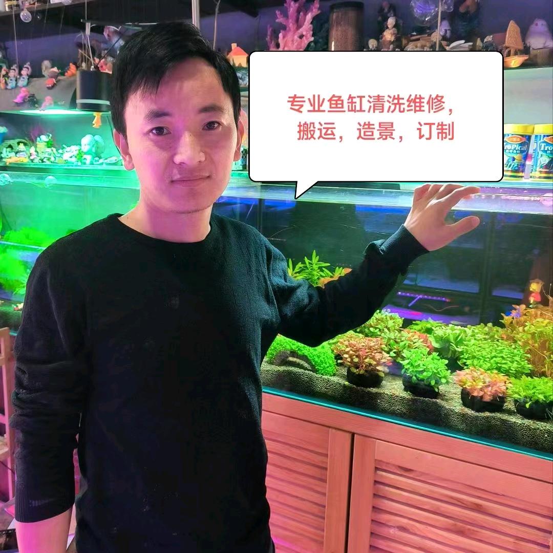 衡水金宝鱼缸清洗维修
