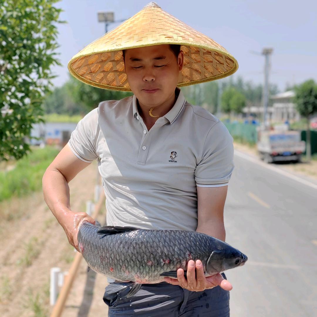 木兰水产垂钓专供