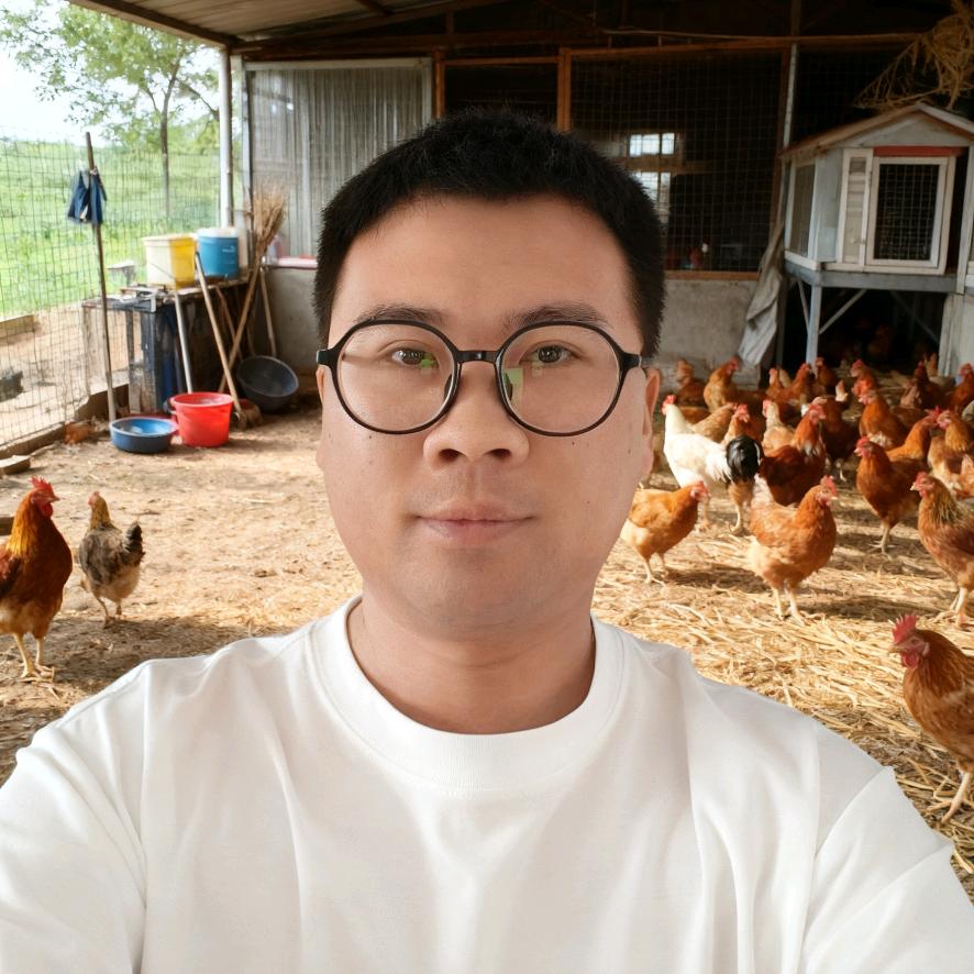 周老板的养鸡事业