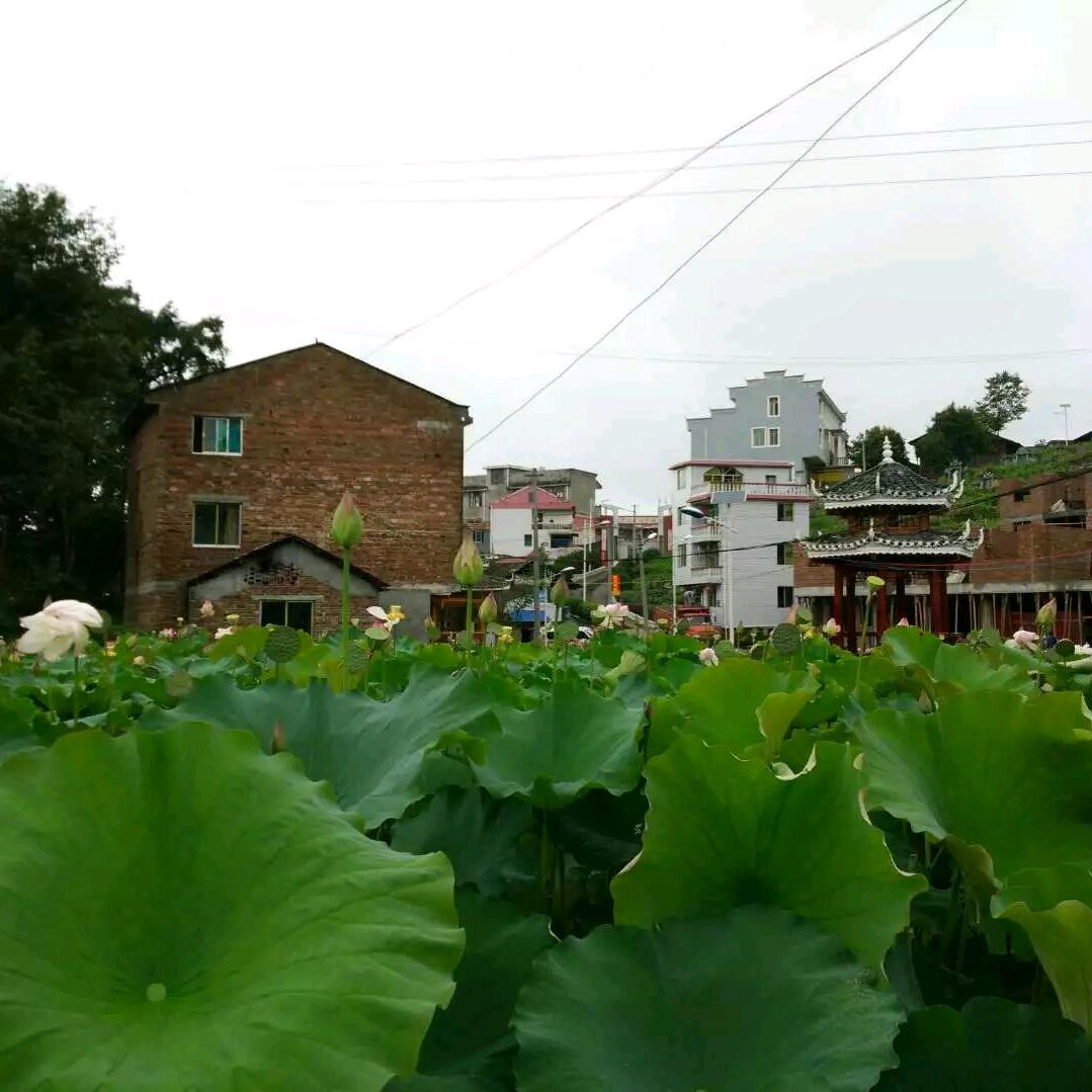 盼头无望，劳碌无期