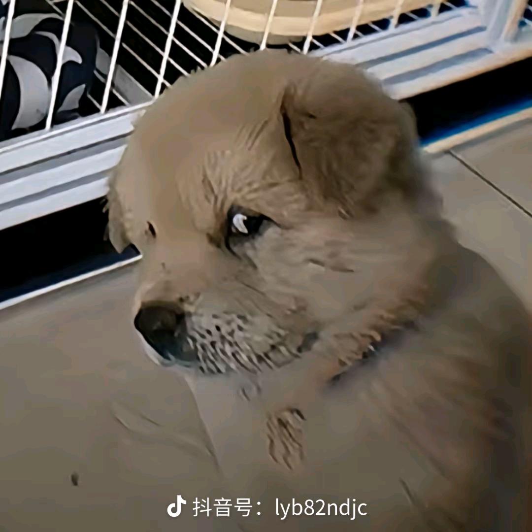 柳贯一.