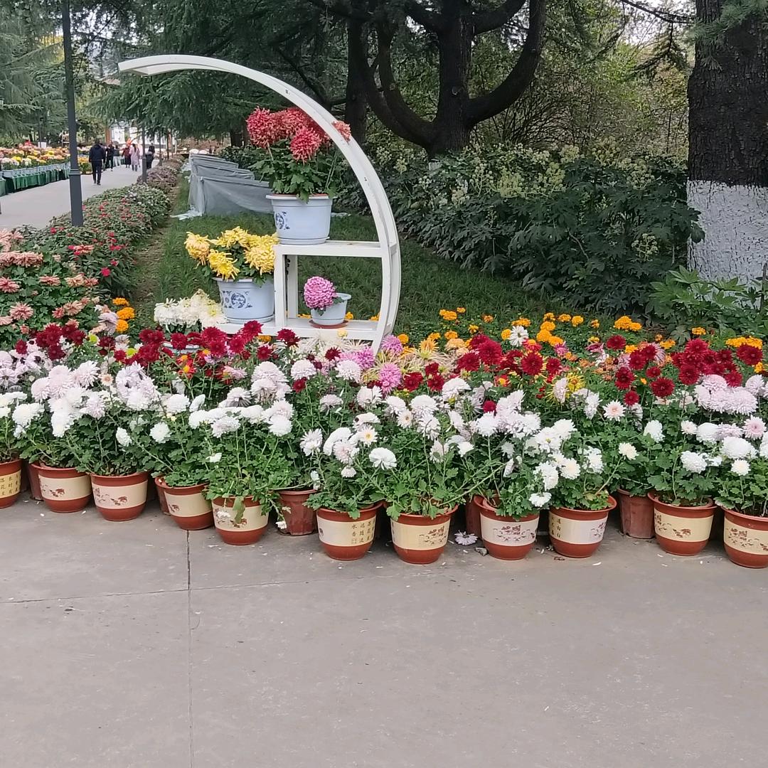 ꦿ᭄乖不如࿐: 🚬᭄