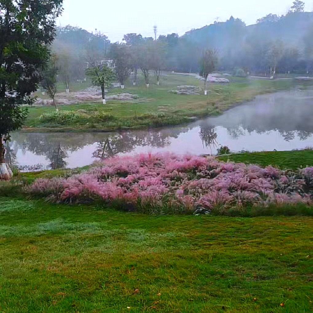 幺戈雄起。单身幺哥。