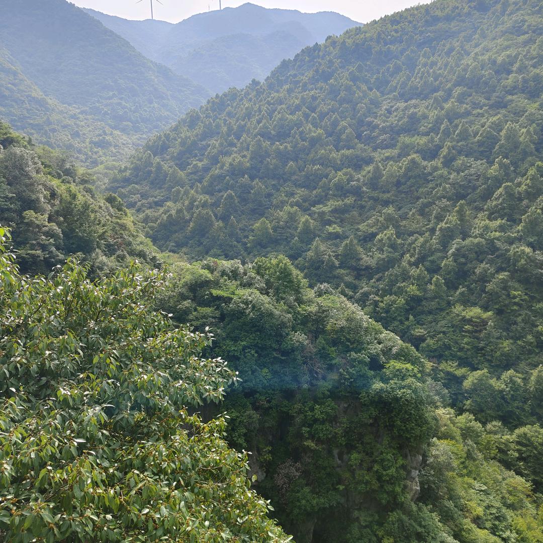 累(ಡωಡ) 了(ღ♡‿♡ღ)谁(❁懂