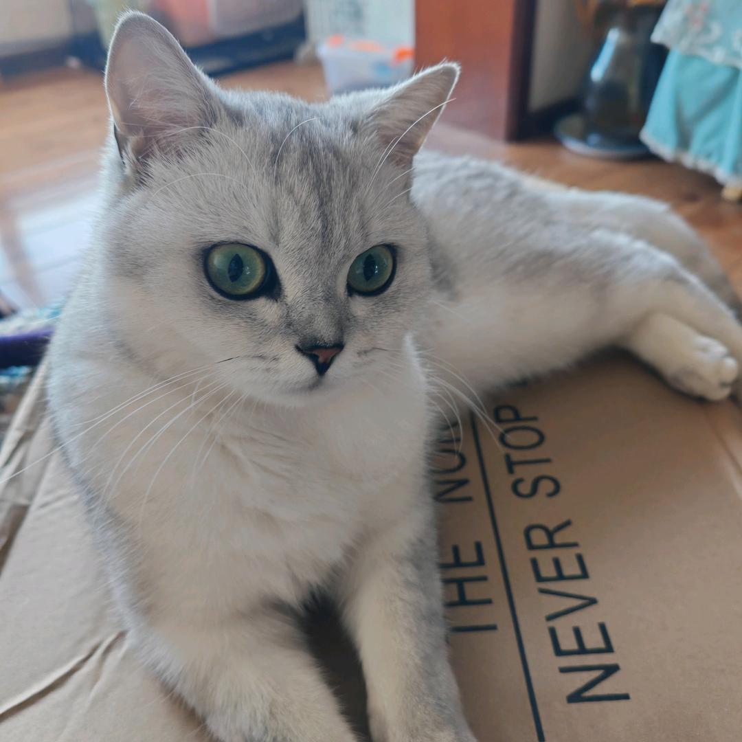 三妮儿ˊᵒ̴̶̷̤ꇴᵒ̴̶̷̤ˋ ♥