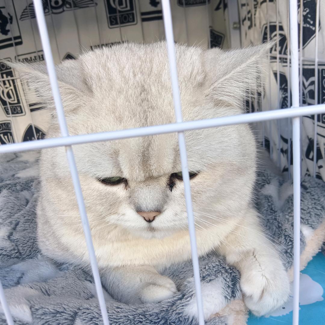 三个孩子