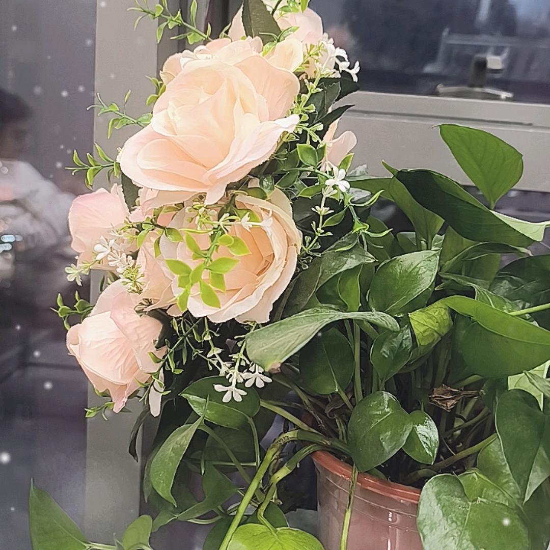 曼曼幸福🥰