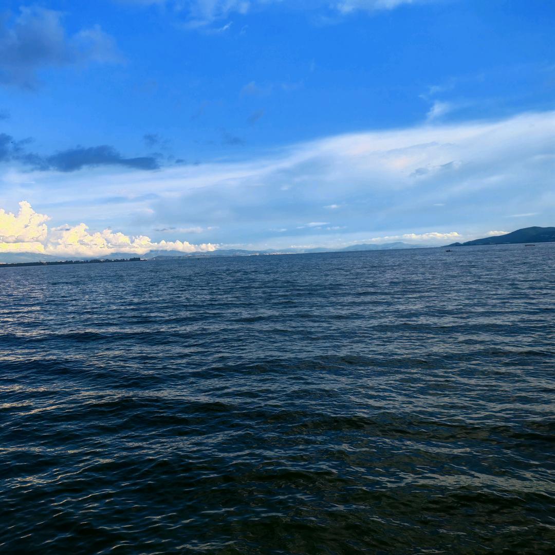 鑫华盛：高箱、静音床板、生物质颗粒制造