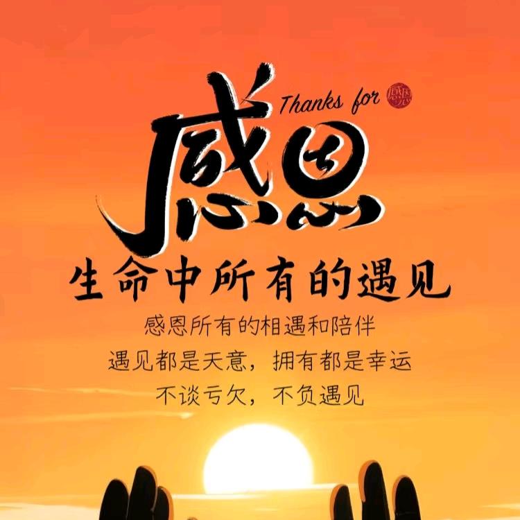 感恩你来了