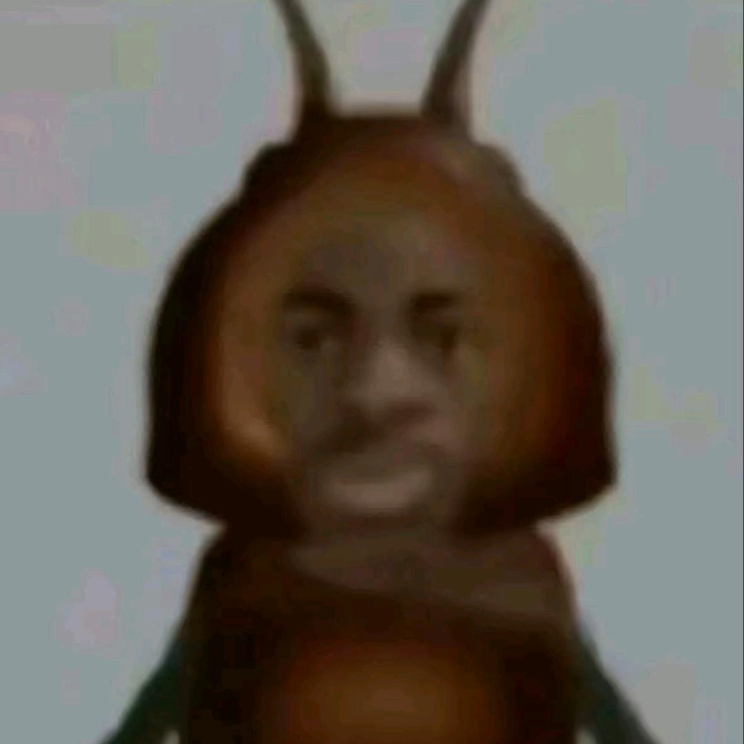 犯懒大王