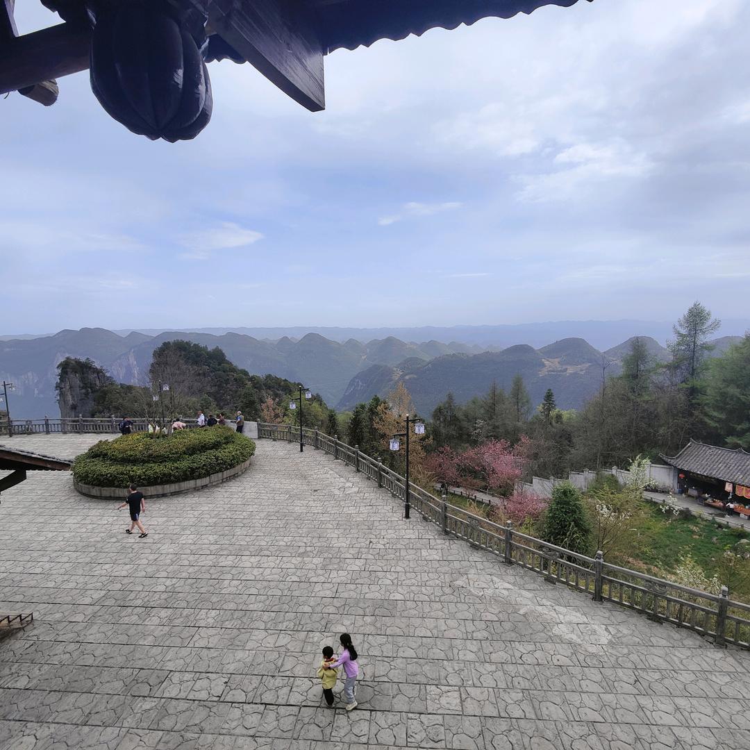 再见只是陌生人