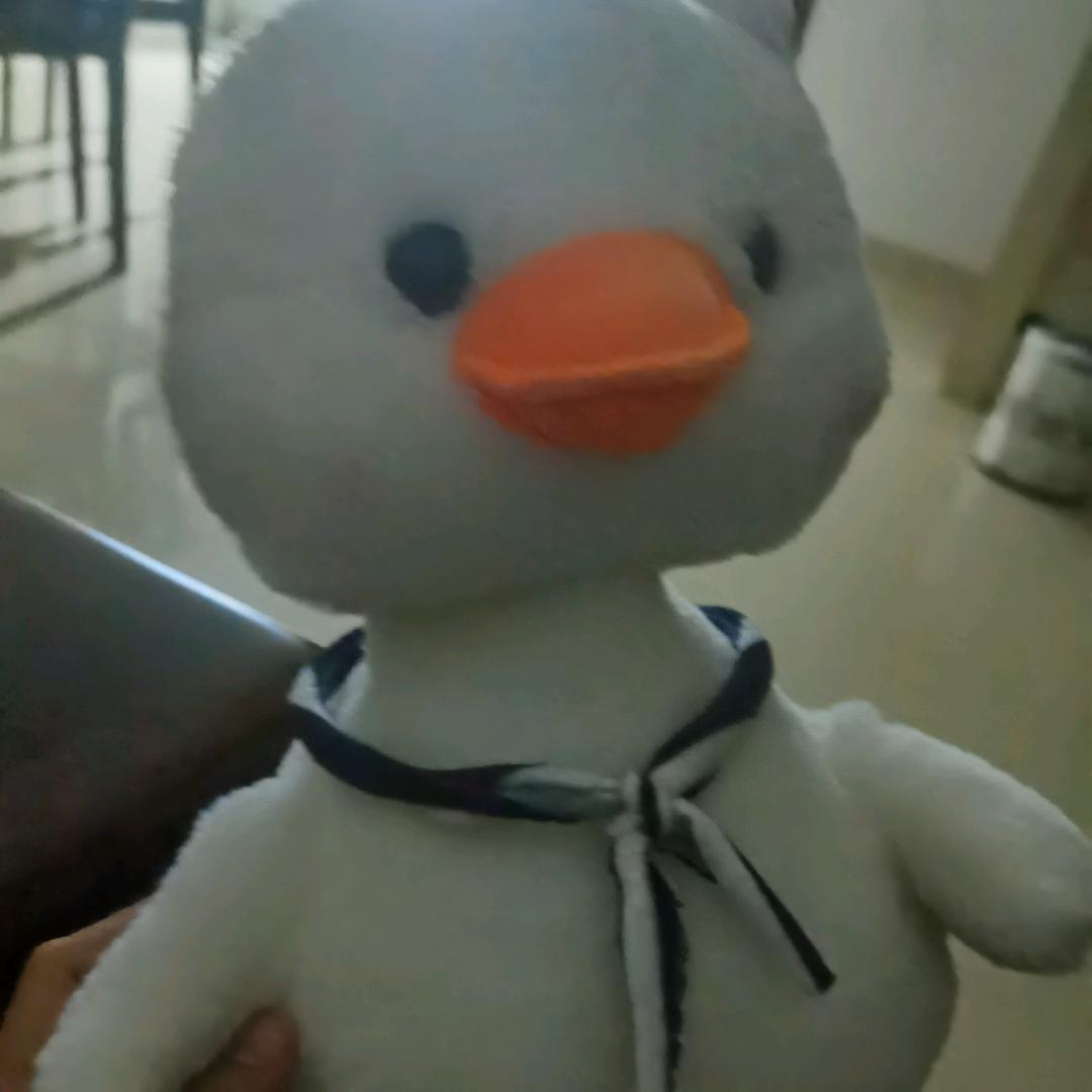 奔跑的蜗牛fxh
