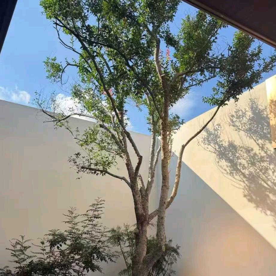 我现在