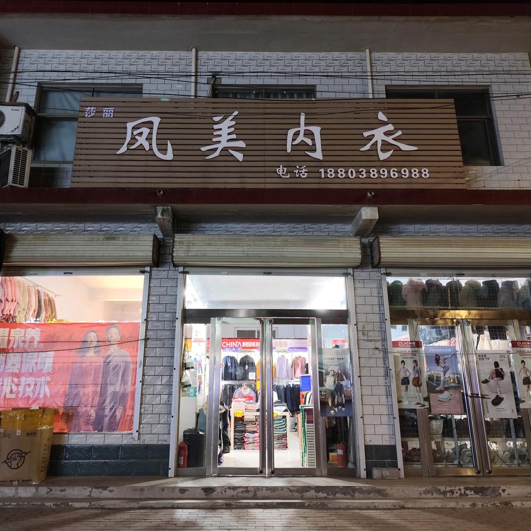 莎丽凤美内衣专用号