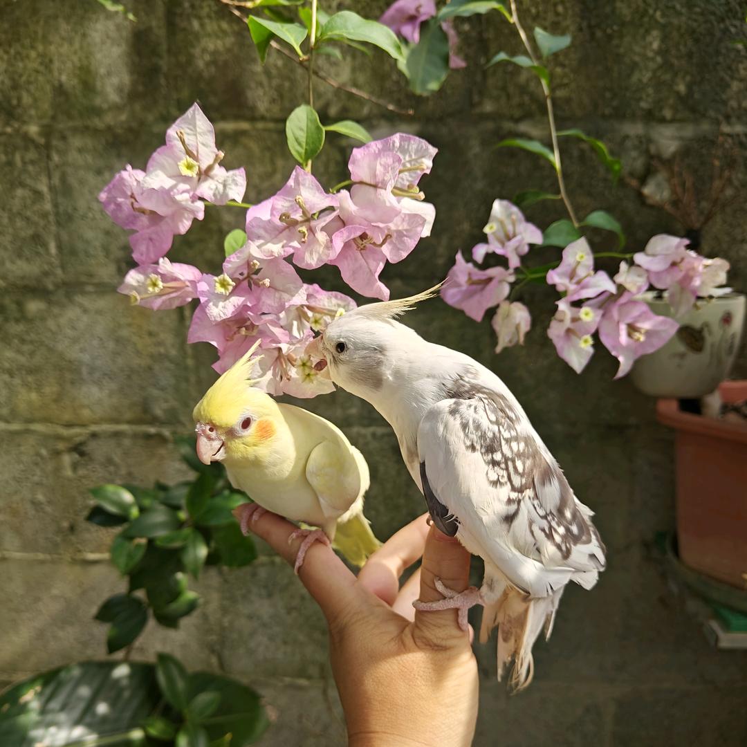 爱未来@燕子生活馆